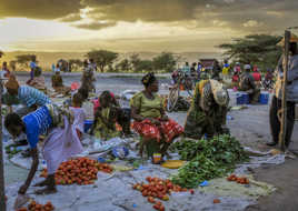 Le marché