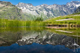 Prés du lac du Lauzon, Alpes