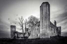 les corbeaux de Budos