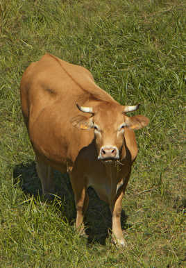 et maintenant, faut regarder en l'air