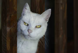 C'est à quel sujet ??