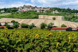 Campagne Auvergne