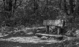 Banc pour petits farfadets et lutins...