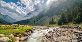 Elles sont heureuses !