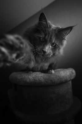 Viens là que je te chope XD