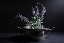 Détournement de casserole