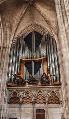 La Cathédrale et le grand orgue.