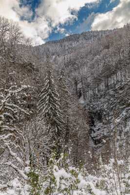 Le Jura en hiver