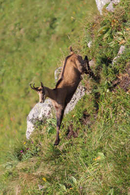 rencontre matinale