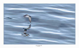 Double reflet en haute mer