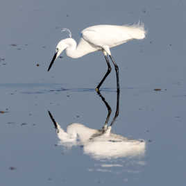 Marcher sur son ombre