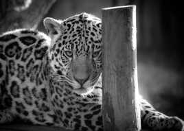 Trop dur la rentrée