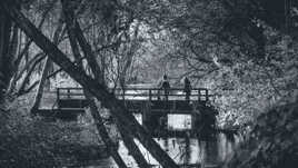 Le pont en bois pour piétons