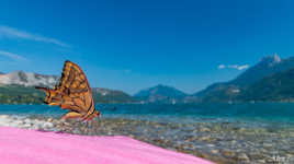 Tout le monde a le droit de bronzer