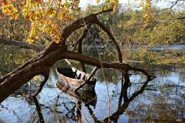 Barque en automne