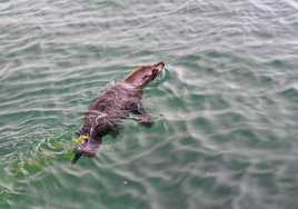 Il est temps d'aller à la pêche...