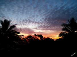 Aube d'un nouveau jour