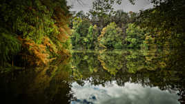 Se perdre en réflexions...