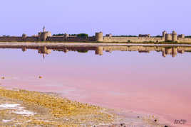 Les salines de Salins