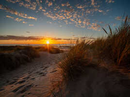 Derniers rayons