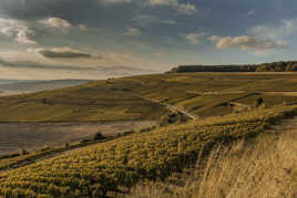 Couleurs d'automne en Champagne