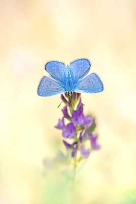 Les yeux dans les yeux