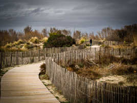 Entre les dunes