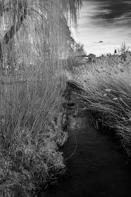 le long de la Salmouille NB