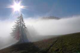 le brouillard envahissant
