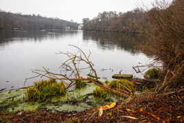 Le Château de la Reine Blanche
