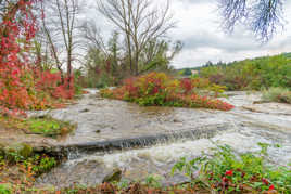 Après les pluies ......