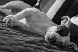 au plus fort de mon courage