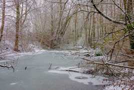 brrr... fait pas chaud