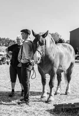 Allez au travail sur trépigneuse
