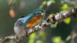 étirements matinaux