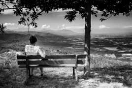 La grande évasion sur grand écran