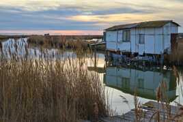 Un soir dans les marais