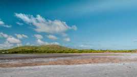 Savane des petrifications