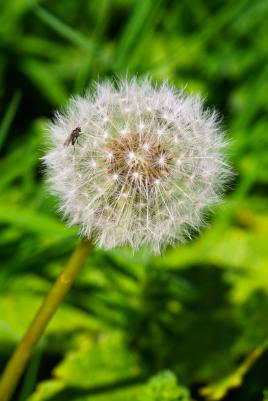 Atterrissage délicat