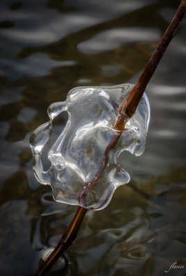 de glace...