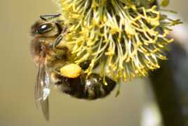 Encore un peu pour la route