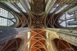 Basilique de St Martin, Liège.