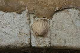 Coquille sur son rocher