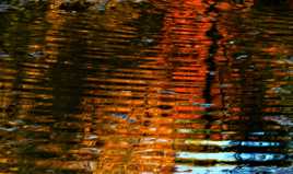 Reflets aux couleurs de la vie