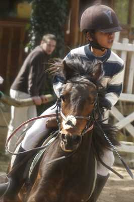 Concours sauts d'obstacles poney