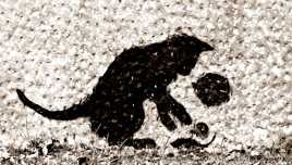 Le Chat, la Balle et la Souris