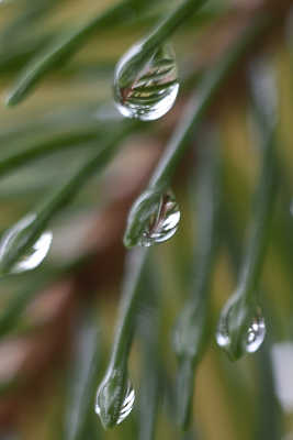 promenade sous la pluie