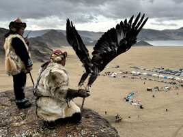Festival des aigliers en Altaï Mongolie