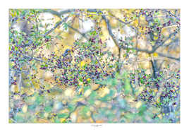 Une petite baie pour le ptit déjeuné