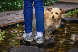 pas beaucoup de place.